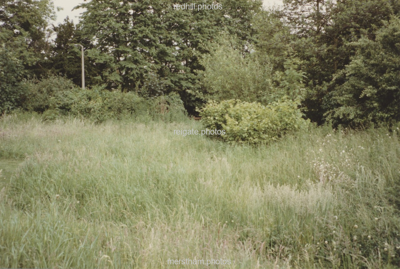 Image number 8623
