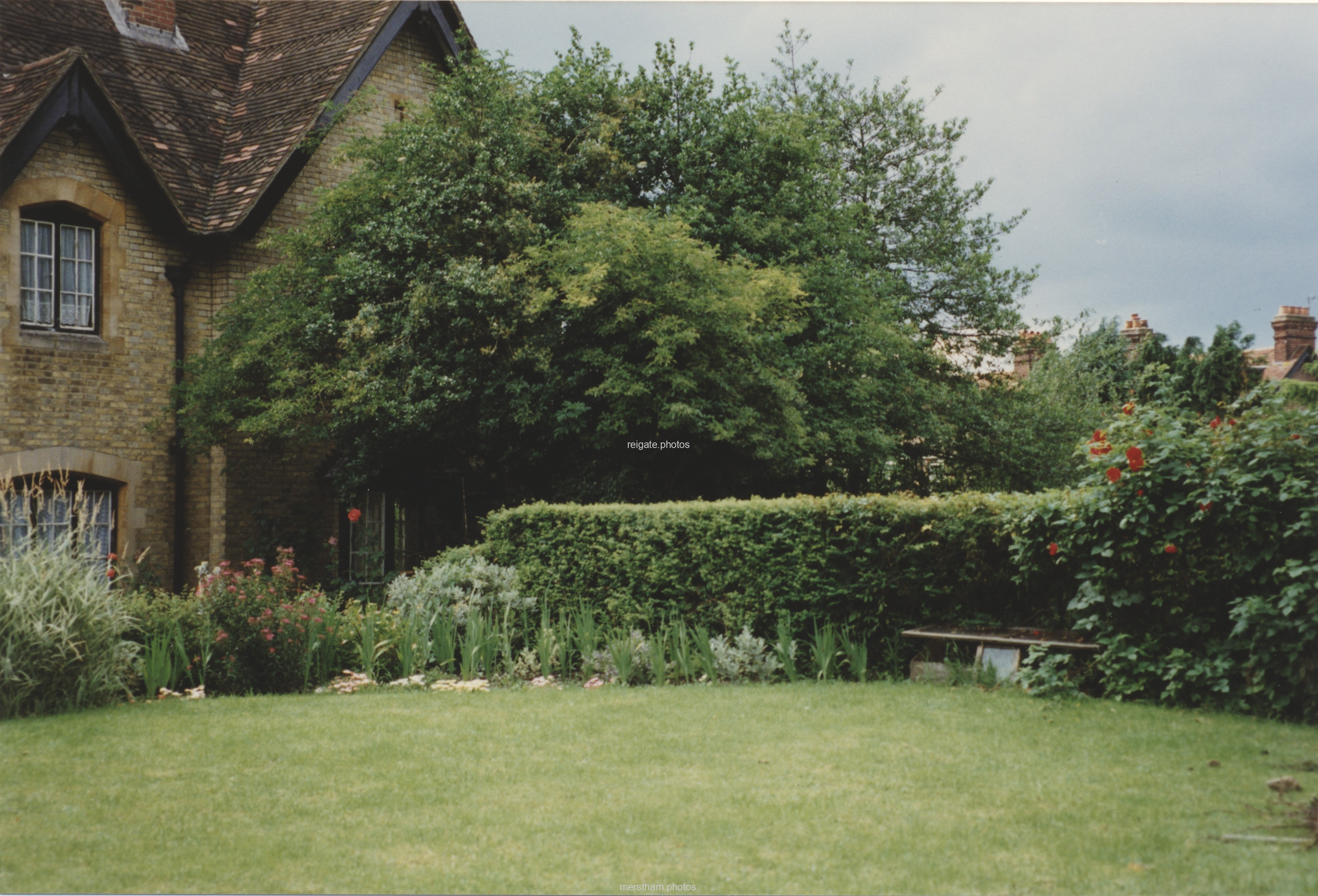 Image number 8629