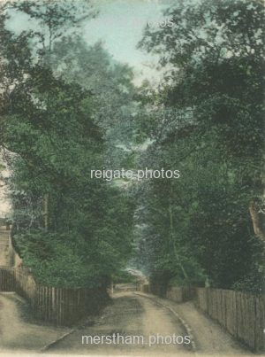 Image number 175