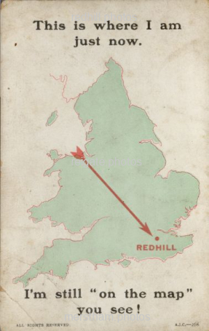 Image number 3293