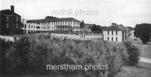 Image number 5