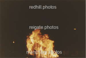 Image number 8617