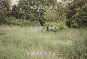 Image number 8623