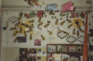 Image number 8625